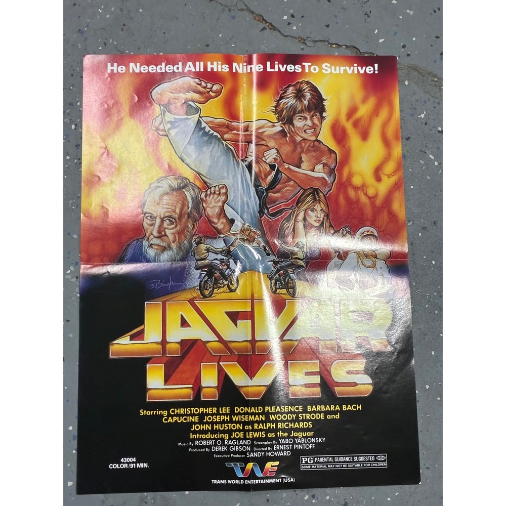 Vintage Jaguar Lives 1979 Movie Poster Joe Lewis Christopher Lee Martial Arts